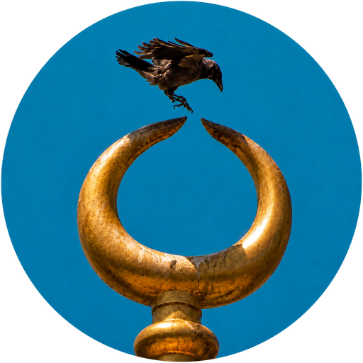 A crow landing on a gilded crescent, photographed by Danilo Linhares